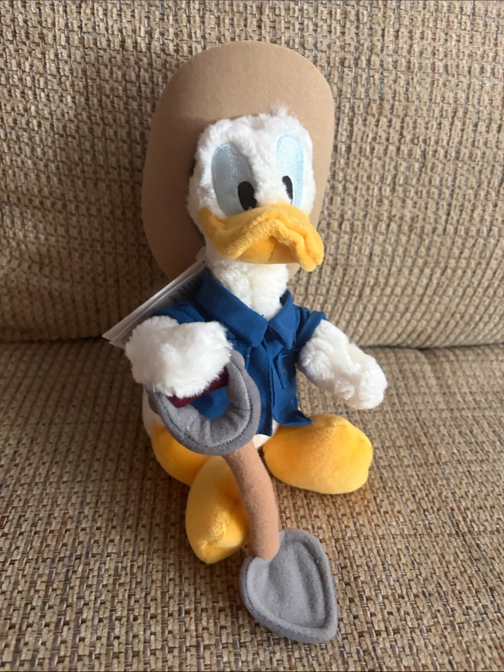 Disney Donald Paleontologist